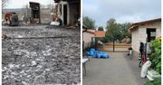 Rolnicy. Podlasie. Zaniedbane gospodarstwo Gienka i Andrzeja po sześciu latach serialu. Zobacz jakie zaszły zmiany