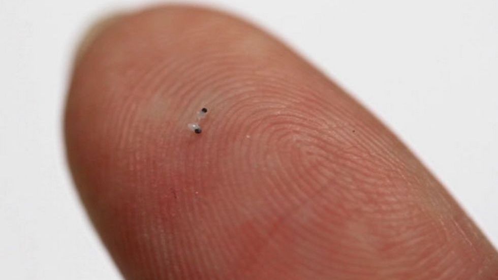 Powstały mikroskopijne roboty, które mogą poruszać się wewnątrz ludzkiego ciała 1