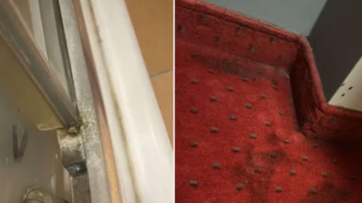 Hotel "jak z horroru"