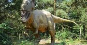 Tyrannosaurus rex nie był jedynym takim gatunkiem? Zaskakujące odkrycie