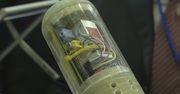 Raspberry Pi na wojnie: mikrokomputer trafił do ukraińskiej wyrzutni rakiet. Jaka jest jego rola?