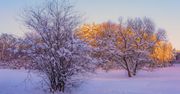 Łódź: Śnieg i marznący deszcz. Uwaga na gołoledź