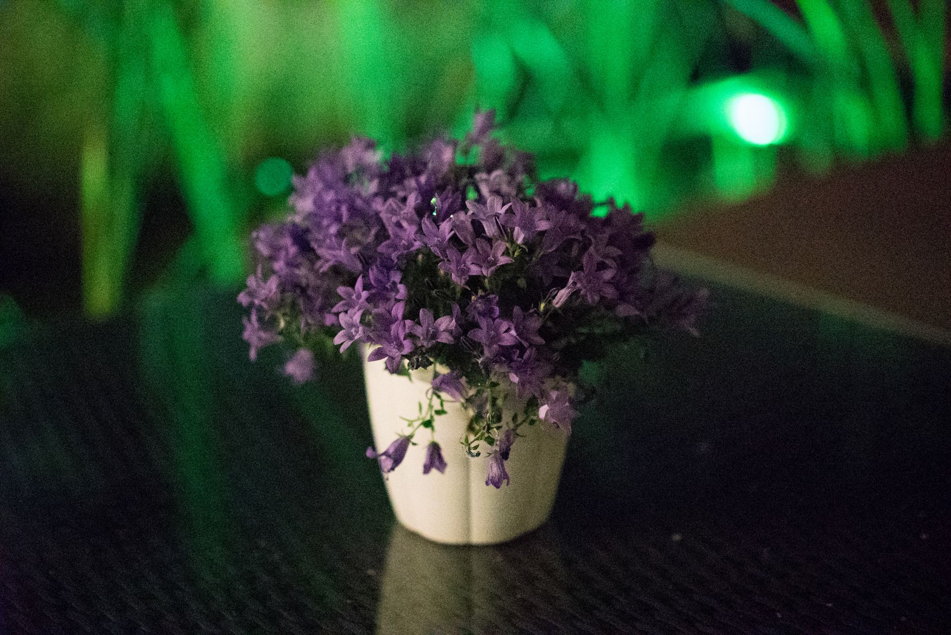 Sony A7S - zdjęcia testowe do ISO 409 600 32