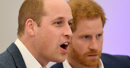 "Rozwód" Williama i Harry'ego. Oficjalnie podzielili fundusze