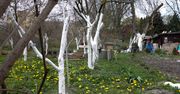 Ostatni dzwonek na kluczowy zabieg. Za chwilę będzie już za późno