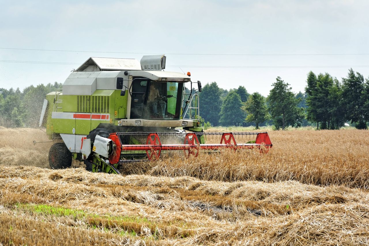 Pogoda utrudnia pracę rolnikom. WIR informuje o „żniwach kradzionych"