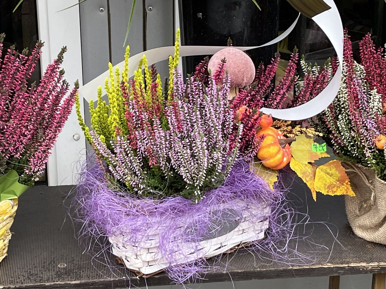 Łódź: Nowoczesne wiązanki na Wszystkich Świętych z żywych kwiatów