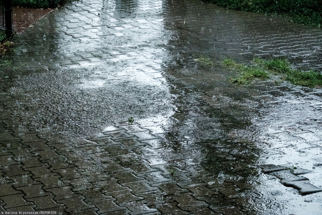 Synoptycy o pogodzie na długi weekend. Te zjawiska będą dominować "każdego dnia"