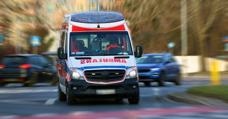 19-latek znęcał się nad ciężarną. "Przywiązał do drzewa i zgwałcił"