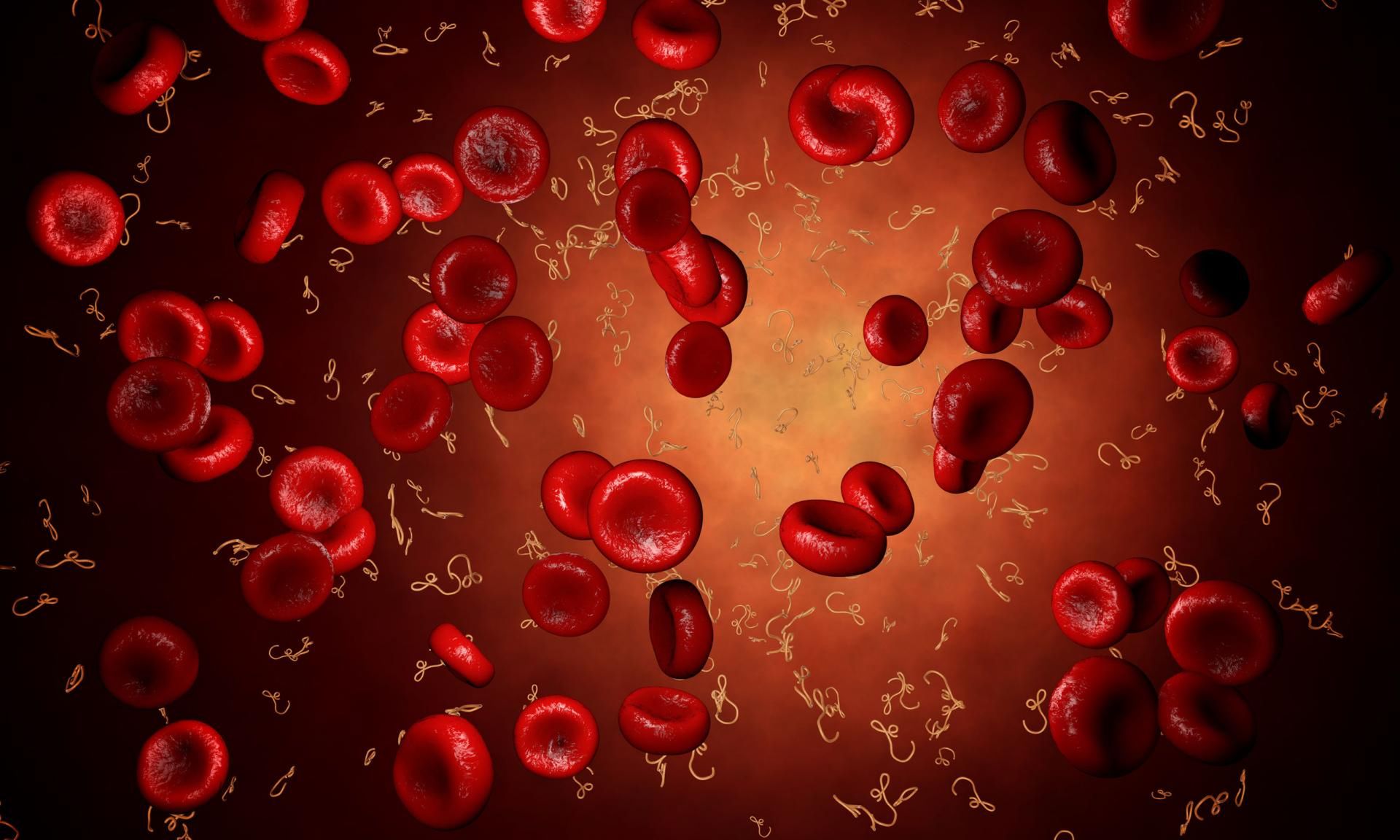 Naczyniak jamisty może pojawić się zarówno na skórze, jak i na organach takich jak mózg czy wątroba