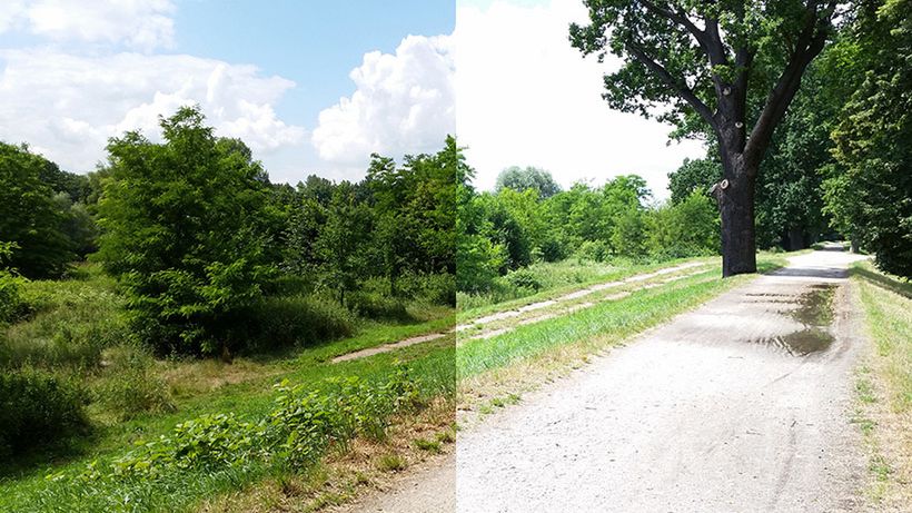 Co zrobić, aby zdjęcia ze smartfona nie były ani za jasne, ani za ciemne? 1