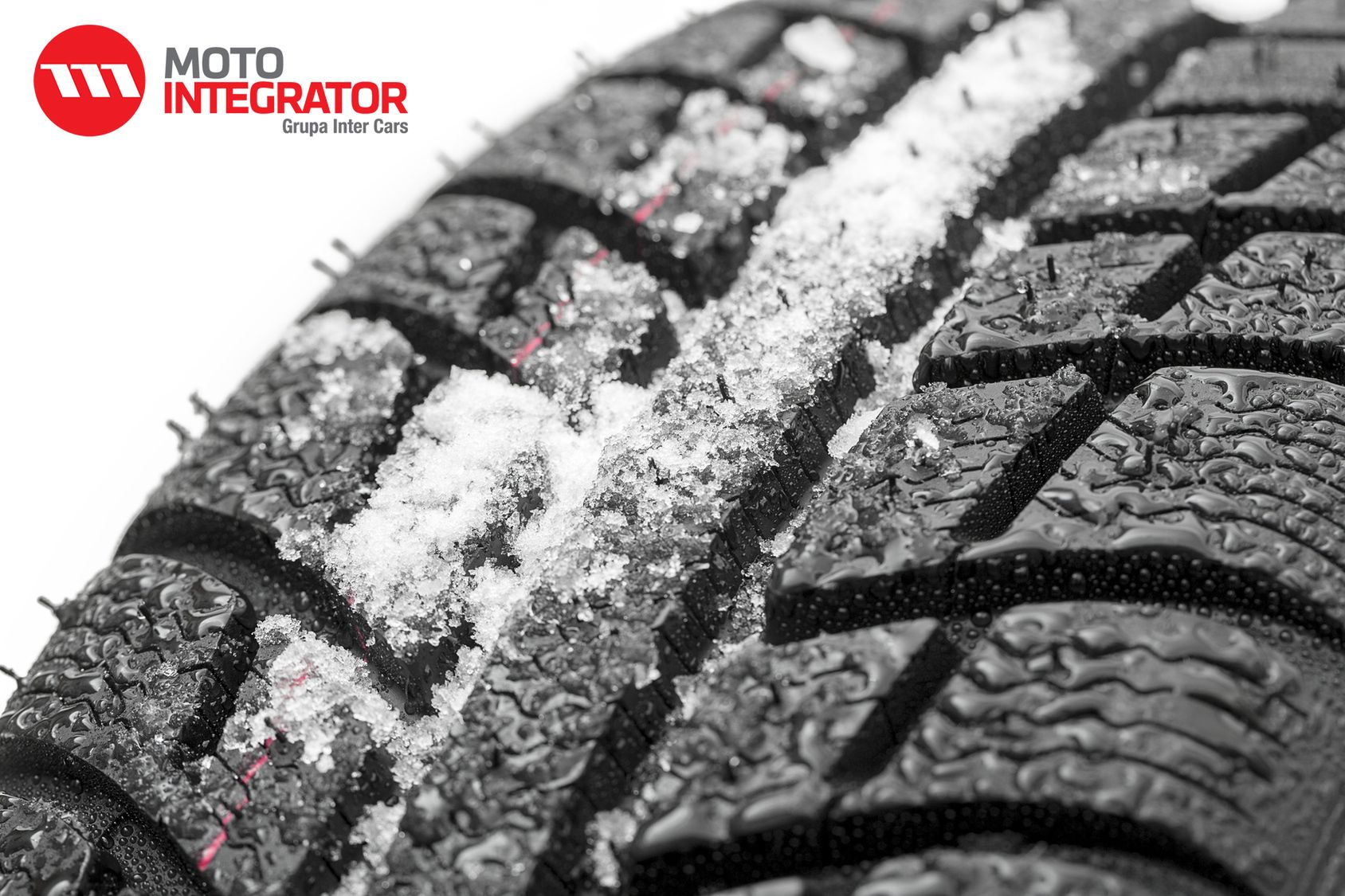 Zdjęcie ilustracyjne do artykułu