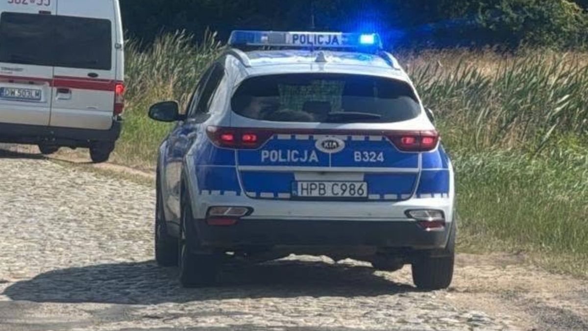 Zdjęcie poglądowe