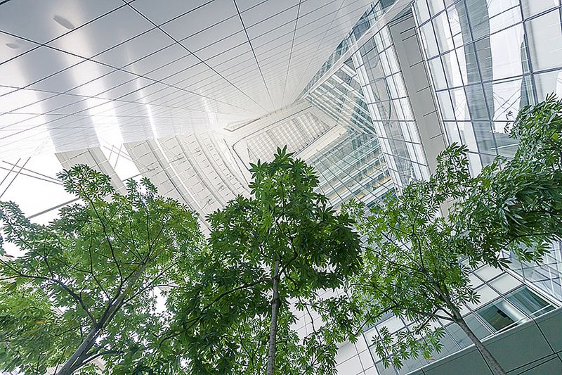 Znamy zwycięzców konkursu International Garden Photographer of the Year 2016 24