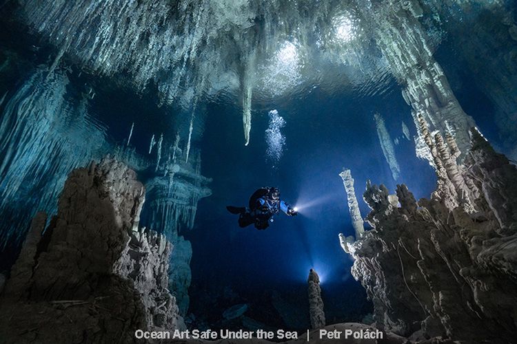 Najlepsze zdjęcia oceaniczne w konkursie Safe Under the Sea 3
