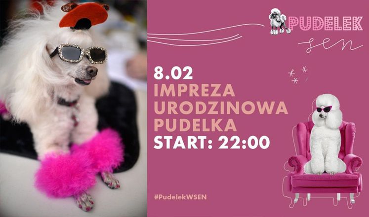 Pudelek obchodzi 14. URODZINY. Zapraszamy Was na imprezę!