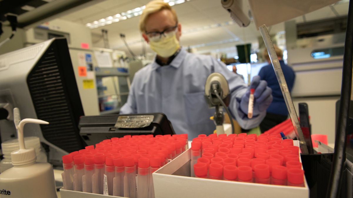 W badaniach zastosowano inżynierię genetyczną