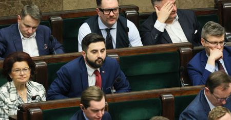 Dziennikarz ironicznie o sejmowej aktywności Mejzy. "Imponująca"