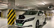 "Mój elektryk" cieszy się dużym zainteresowaniem. Którą markę najczęściej wybierają Polacy?
