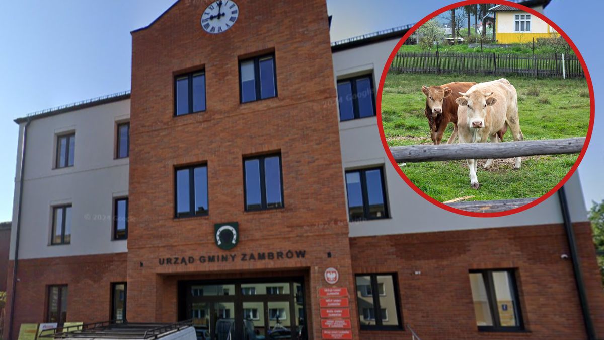 Prokuratura z Zambrowa wykluczyła udział osób trzecich