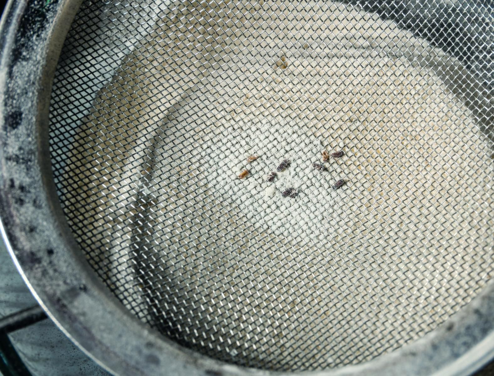 Jak się pozbyć insektów z domu?