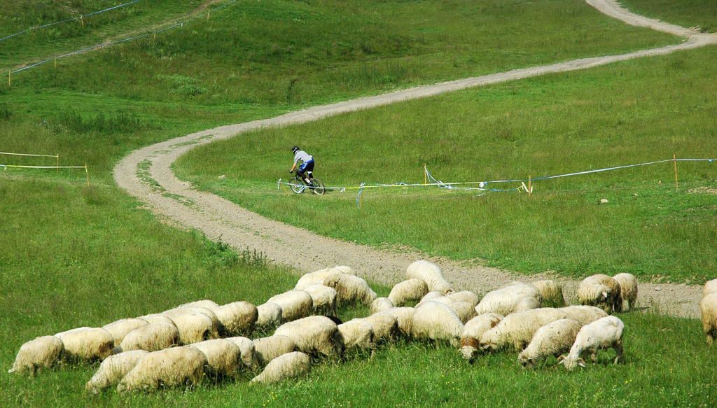 Stok góry Wdżar to raj dla rowerzystów, którzy kochają doświadczenia ekstremalne