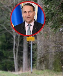 Polska upomina się o dług terytorialny. Czy Czechy oddadzą 368 hektarów?