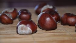 Kasztany pod łóżkiem. Czy rzeczywiście pomagają na dobry sen?