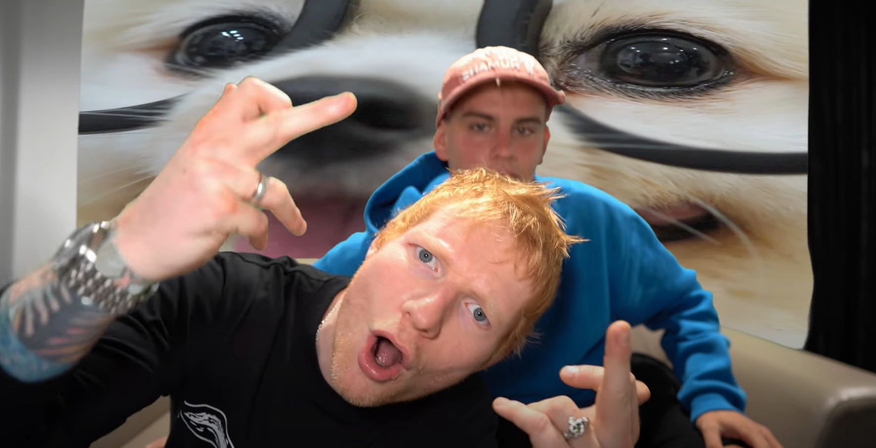 Ed Sheeran i "Łatwogang"