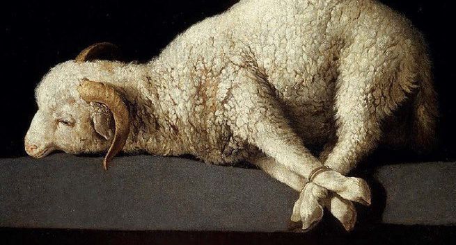 Nowe pismo „W drodze” dla rosyjskojęzycznych katolików