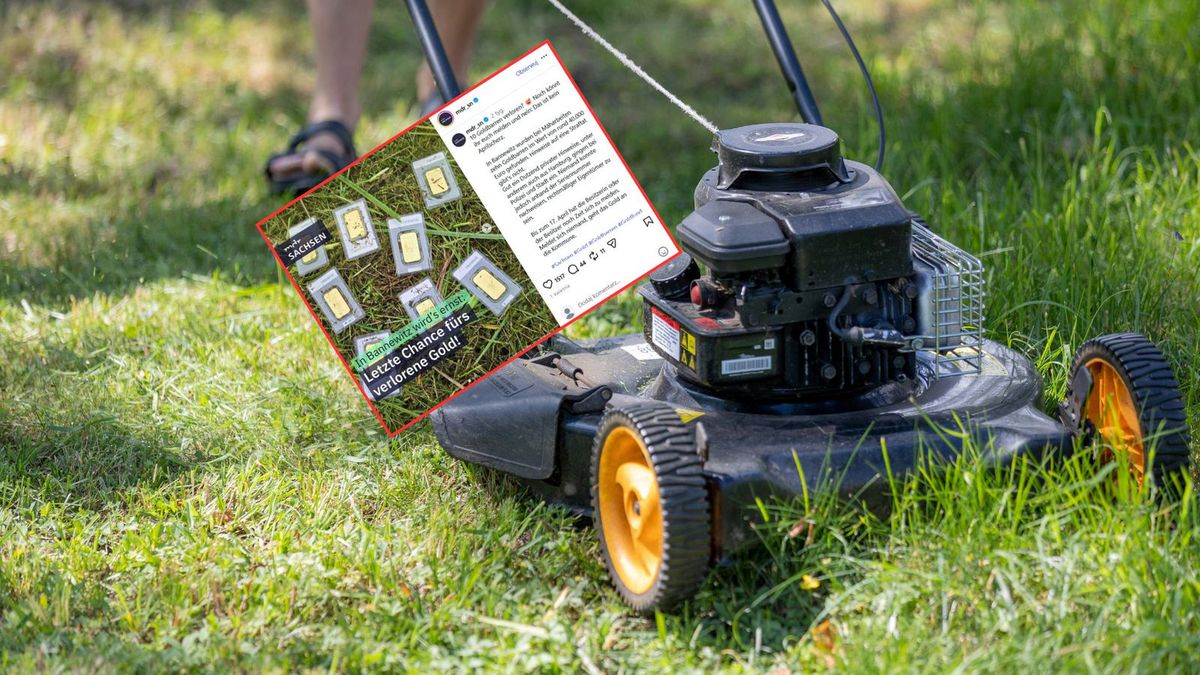 Ogrodnik znalazł złoto w Niemczech