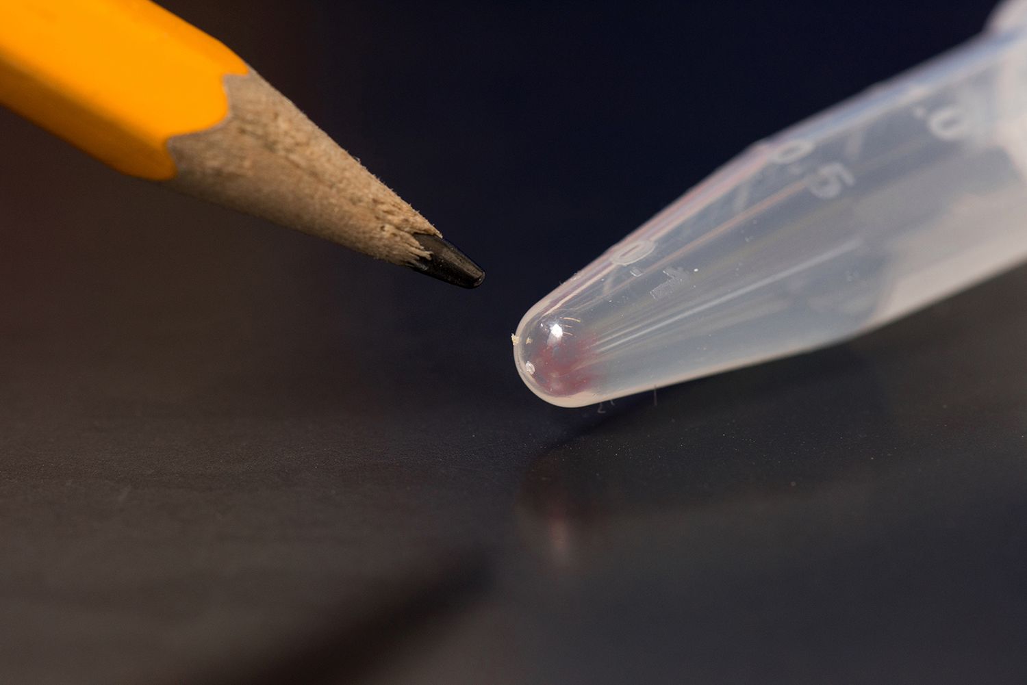 Naukowcy odkryli jak użyć DNA do przechowywania zdjęć 2