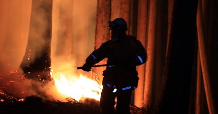 Japonia walczy z ogniem. Największe pożary od 30 lat