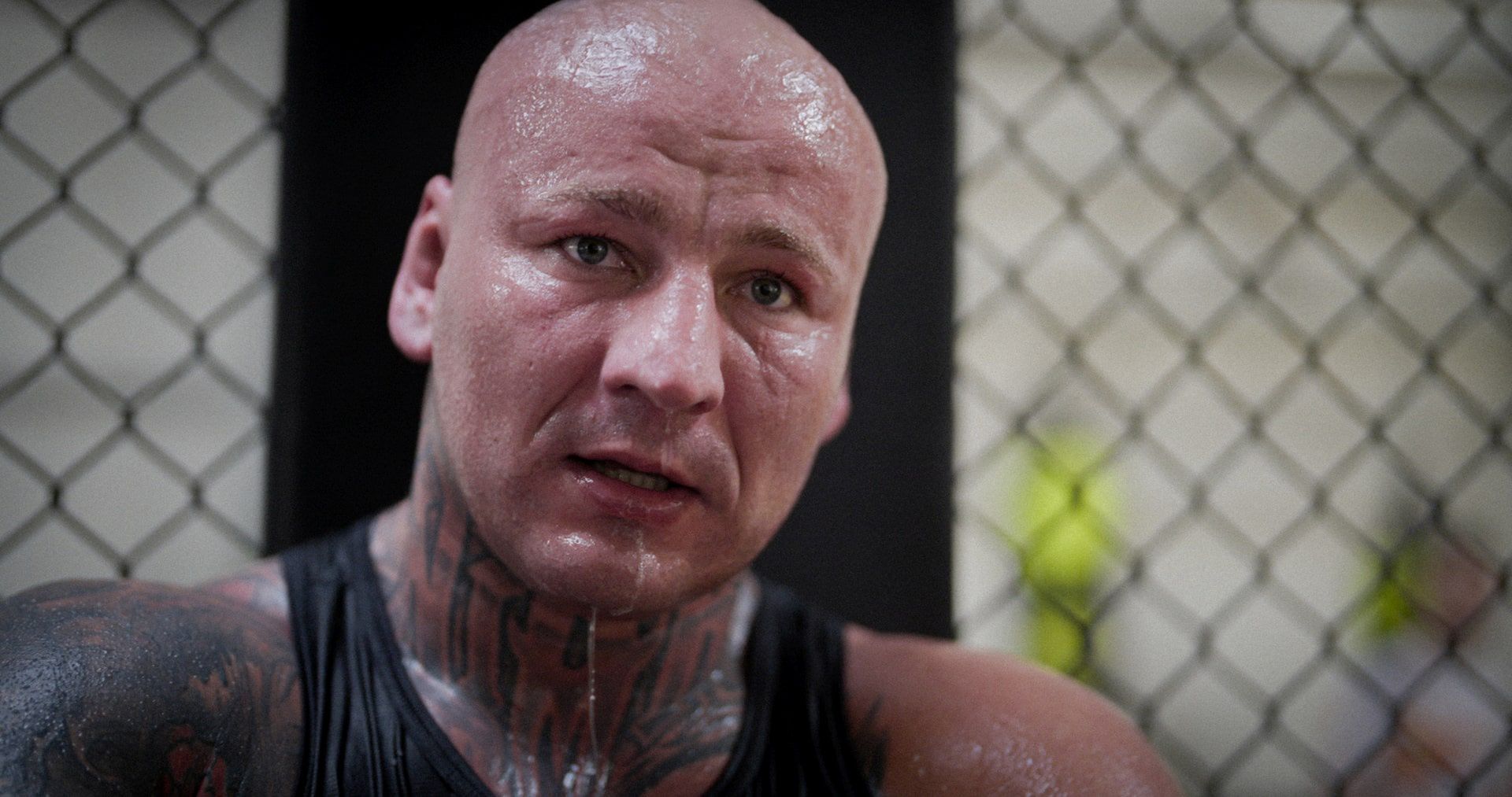 "Szpilka"