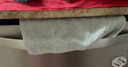 Powieś na drzwiach zmywarki. Zadziała już w 20 minut