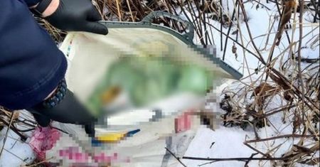 Kraśnik. Reklamówka ukryta w krzakach kryła koszmarną zawartość