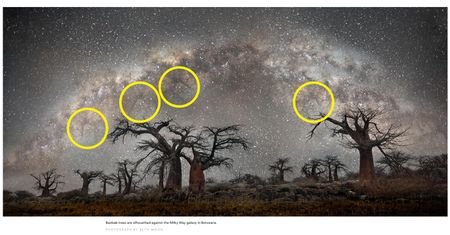 National Geographic zamieściło przerobione zdjęcie. Internauci są wzburzeni