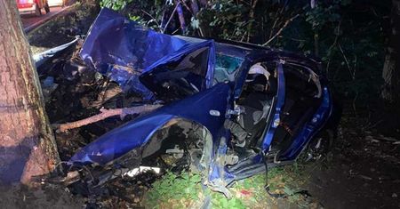 Ktoś podciął 13 przydrożnych drzew na Kaszubach. ''Dobrze, że akurat wiatrów nie było''