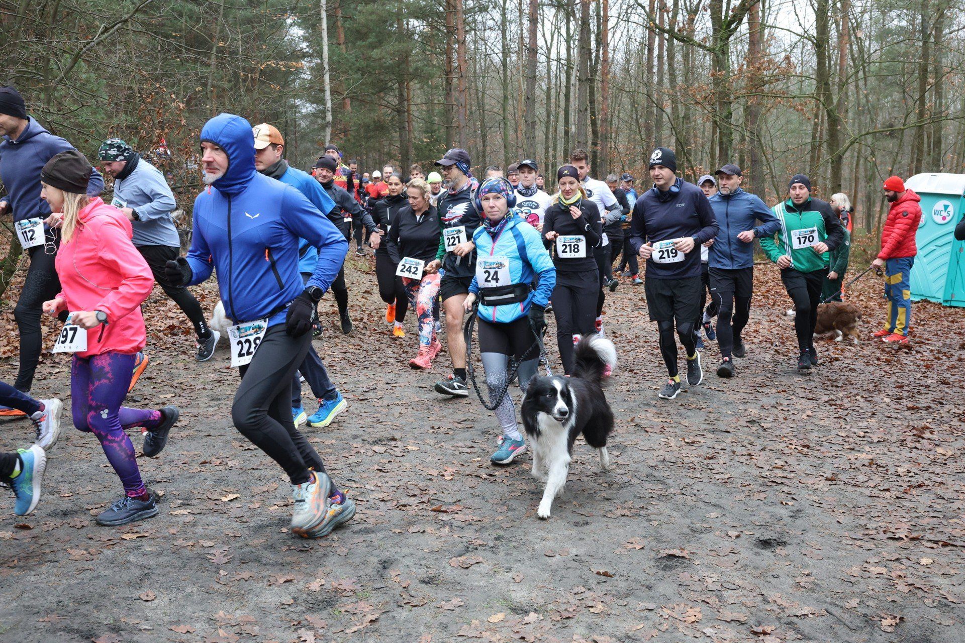 15.11.2025 r. Panewnicki Bieg Dzika w Katowicach. To przedostatnie zawody w tym roku w ramach 13. edycji edycji tej imprezy dla biegaczy i miłośników marszu Nordic Walking.