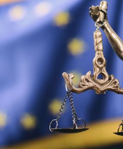 Niemieccy politycy chwalą decyzję o karach dla Polski