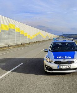 Auto stało na awaryjnych. Policjanci osłupieli, gdy zajrzeli do środka