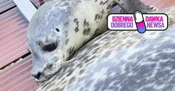 Wielka radość we wrocławskim zoo. Maluch waży już 21 kg