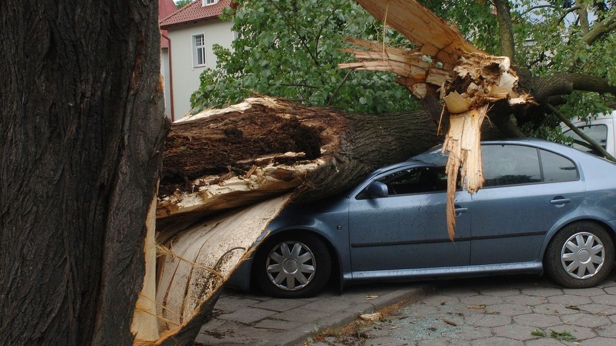 Uszkodzenie auta przez złamaną gałąź, drzewo lub grad to trudna sytuacja. Jeśli nie macie autocasco, będzie problem z odszkodowaniem.