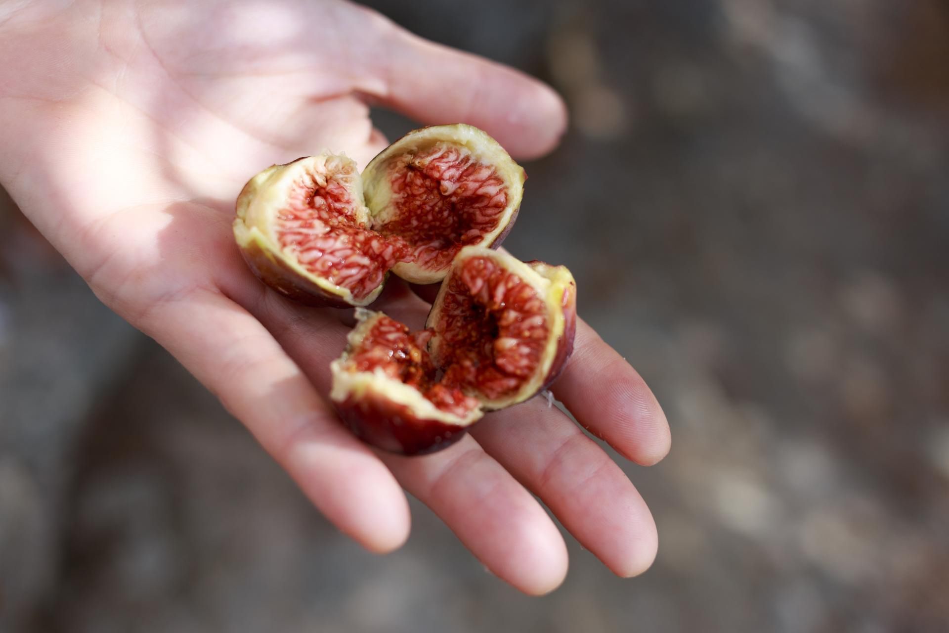 Figi pomagają obniżyć cholesterol