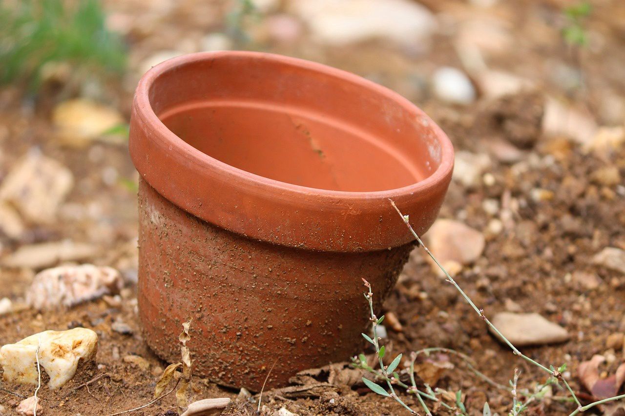 Clay flowerpot for plants