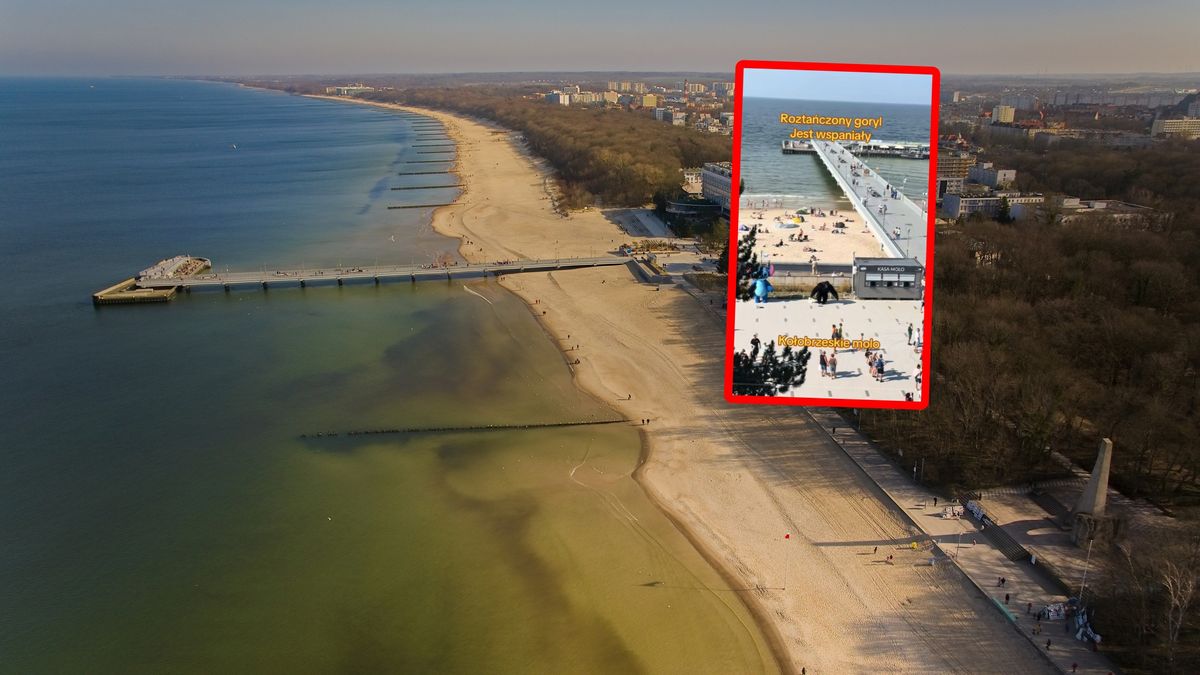 Nagranie z Kołobrzegu. Pokazali... roztańczonego goryla.