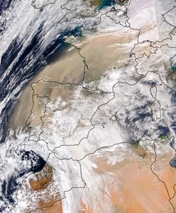 Kalima znad Sahary. Polska Agencja Atomistyki wydała oświadczenie