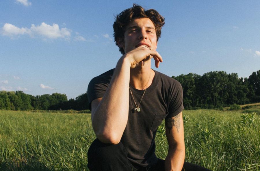 Shawn Mendes wypowiedział się na temat swojej seksualności