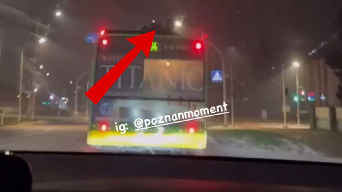 Jechali na dachu autobusu. Szuka ich policja.