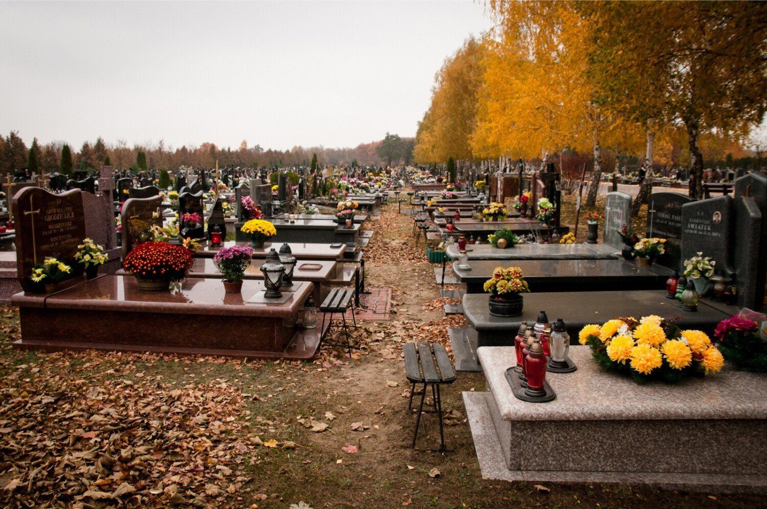 Miejsce 2: Cmentarz Komunalny Północny w Warszawie